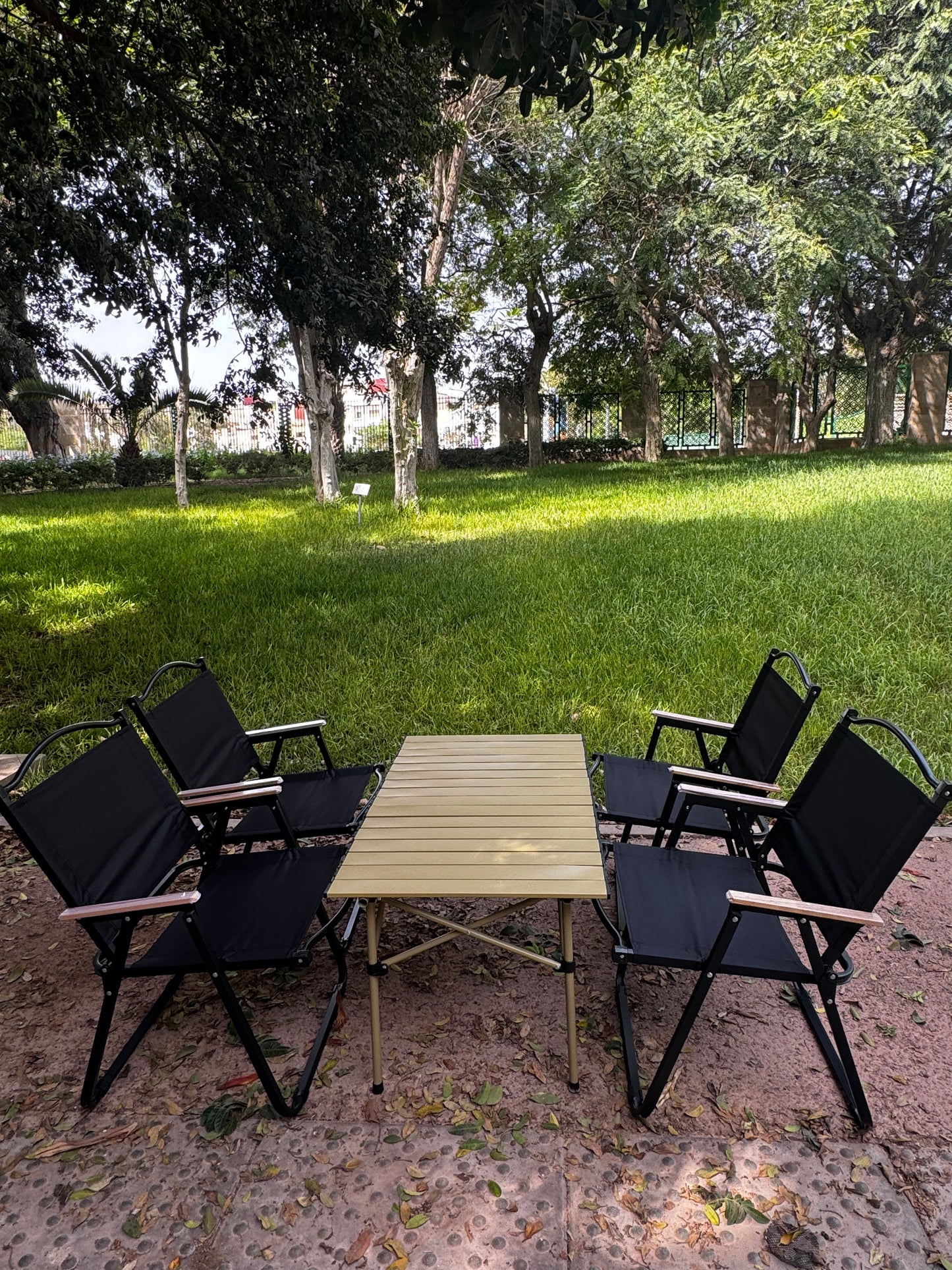 Table de camping avec 4 chaises pliantes
